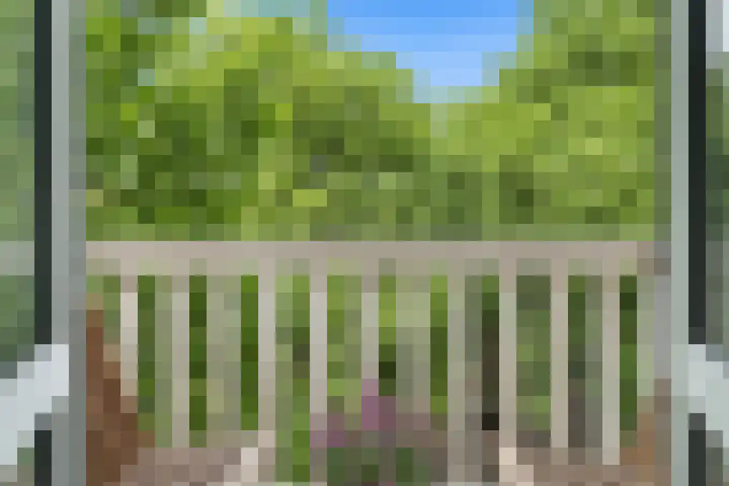 Graaf Florisstraat 88 C Rotterdam thumbnail 19