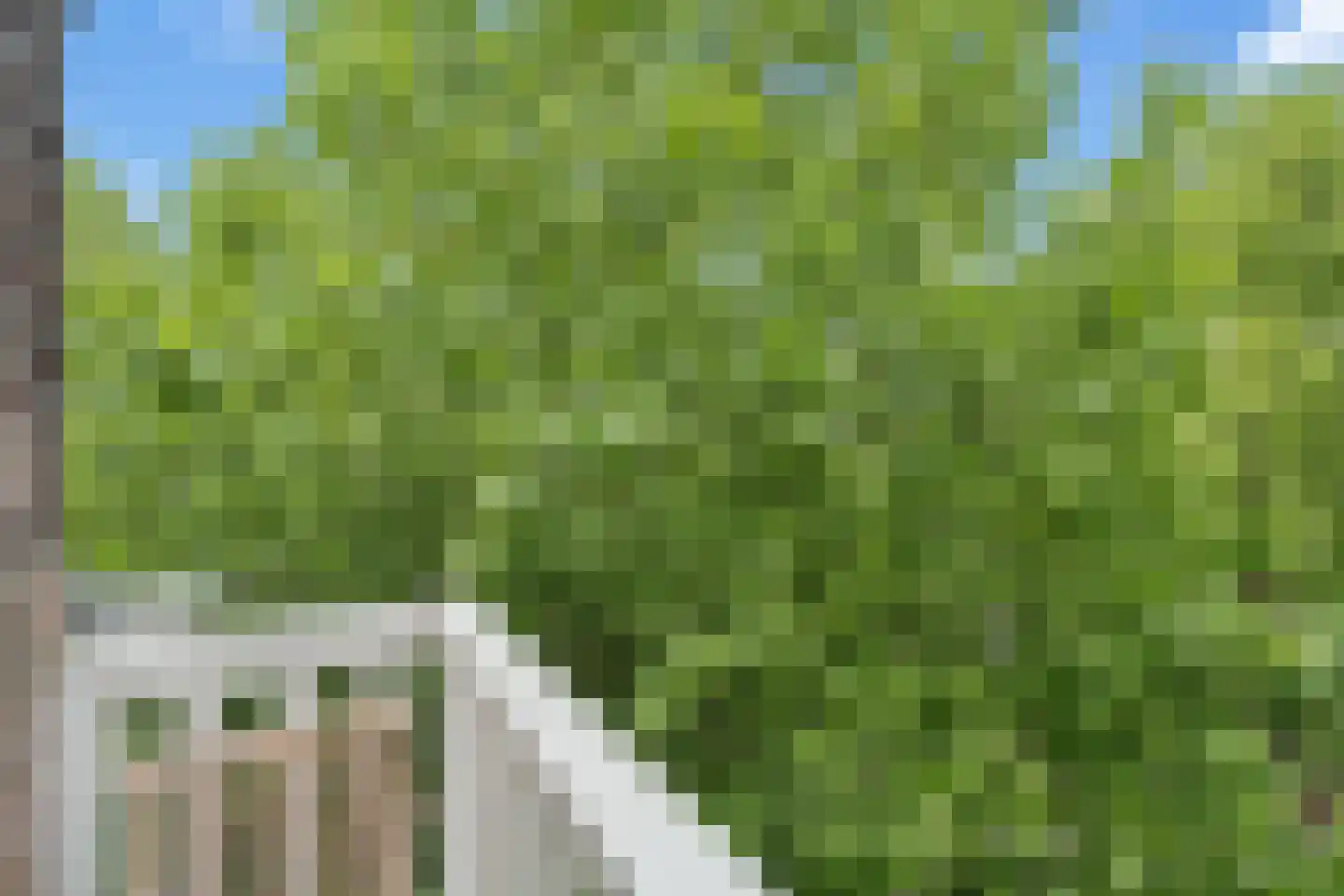 Graaf Florisstraat 88 C Rotterdam thumbnail 21