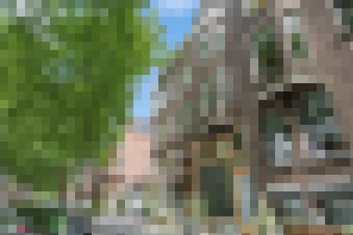 Graaf Florisstraat 88 C Rotterdam thumbnail 30