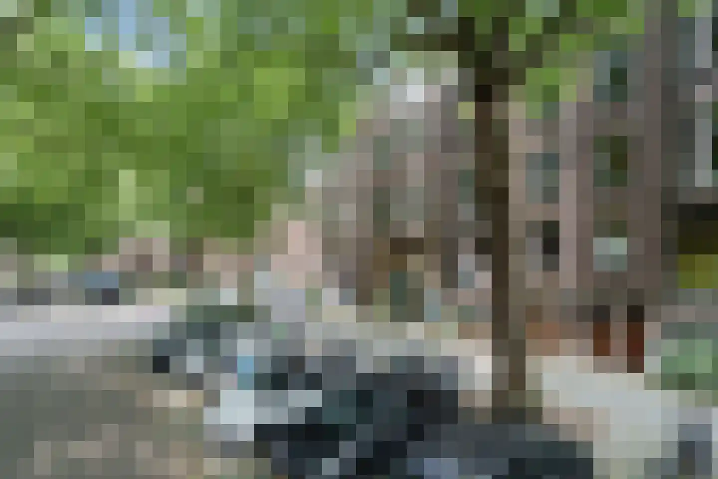 Graaf Florisstraat 88 C Rotterdam thumbnail 34