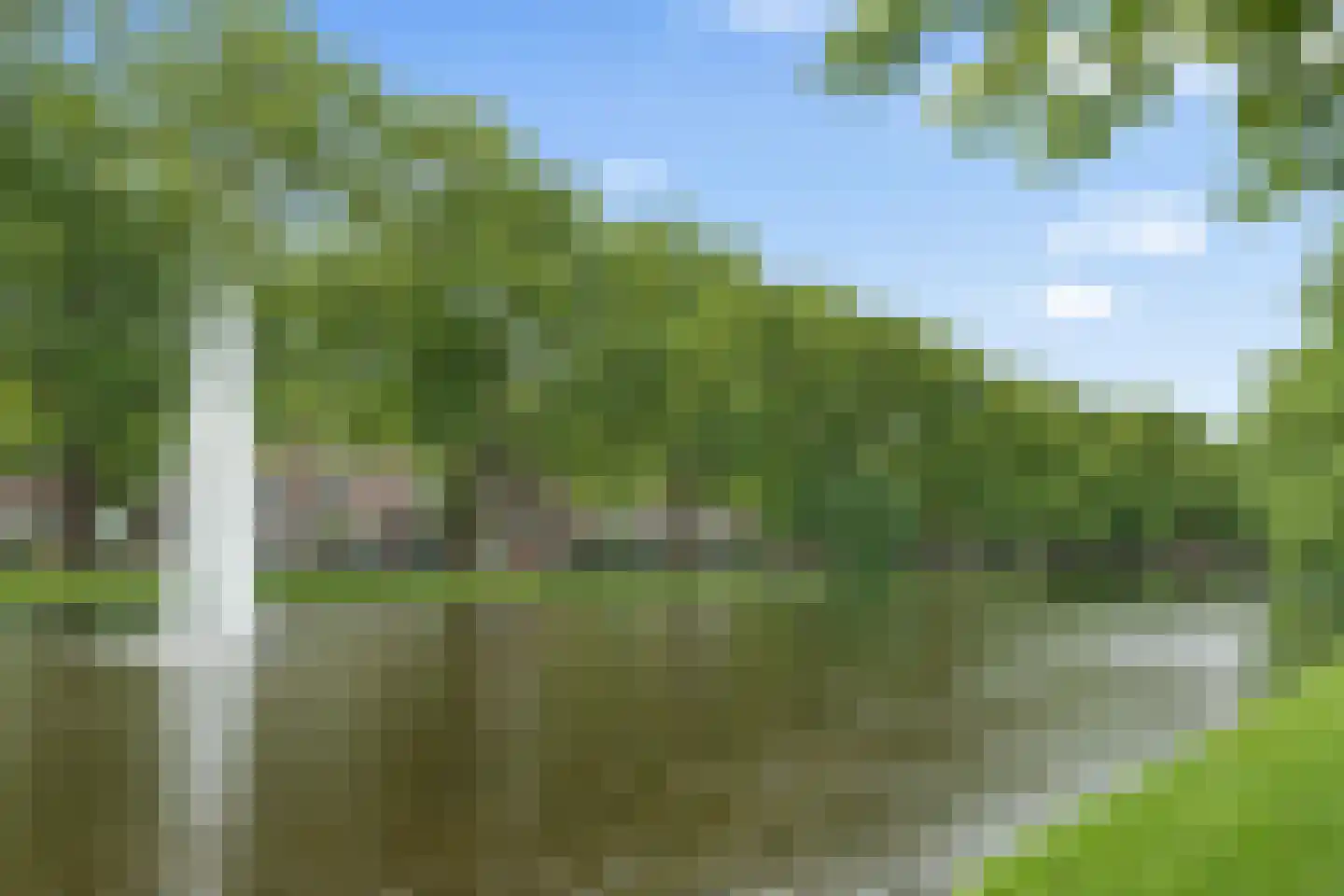 Graaf Florisstraat 88 C Rotterdam thumbnail 35