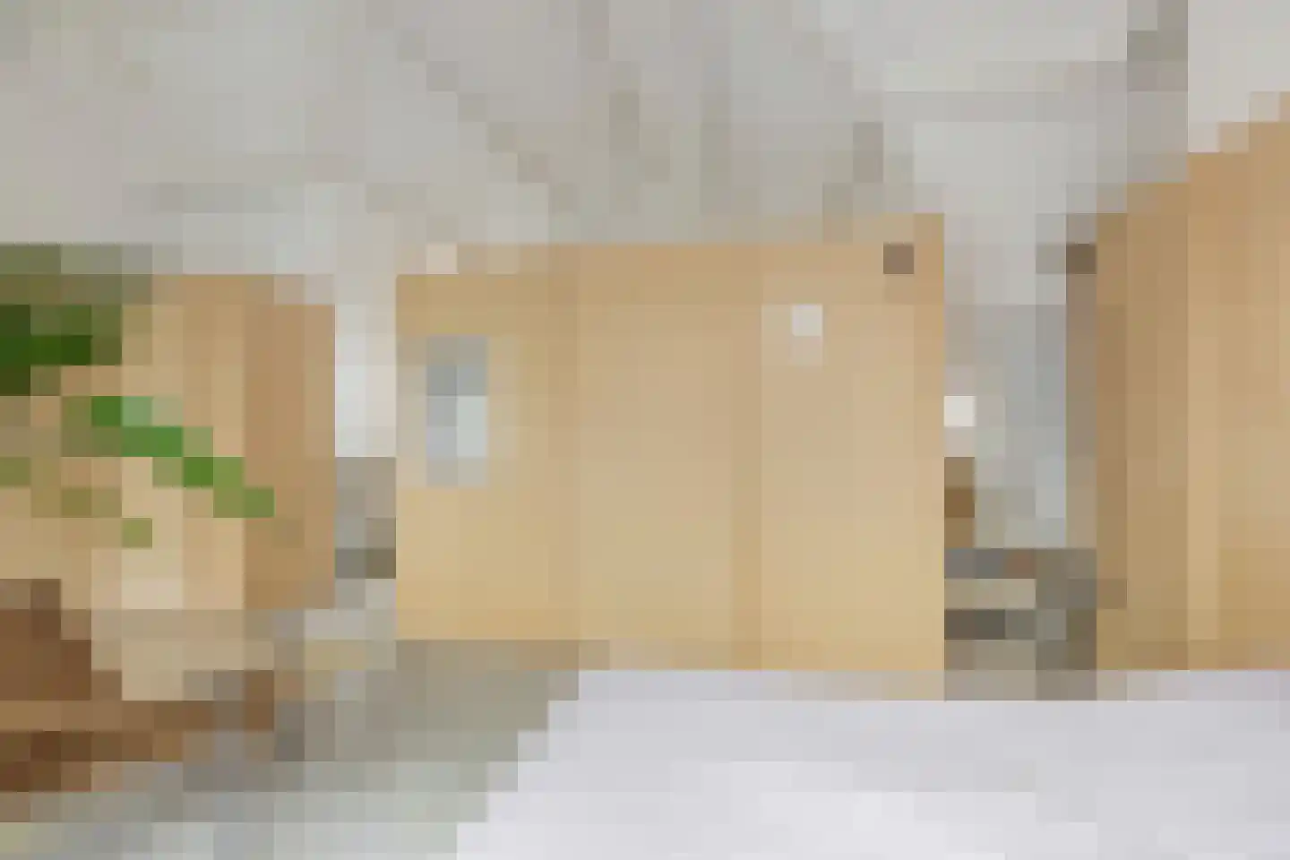 Graaf Florisstraat 90 A 02 Rotterdam thumbnail 30