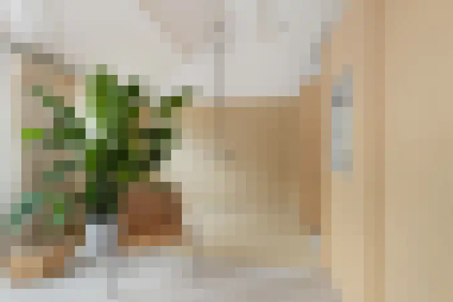 Graaf Florisstraat 90 A 02 Rotterdam thumbnail 32