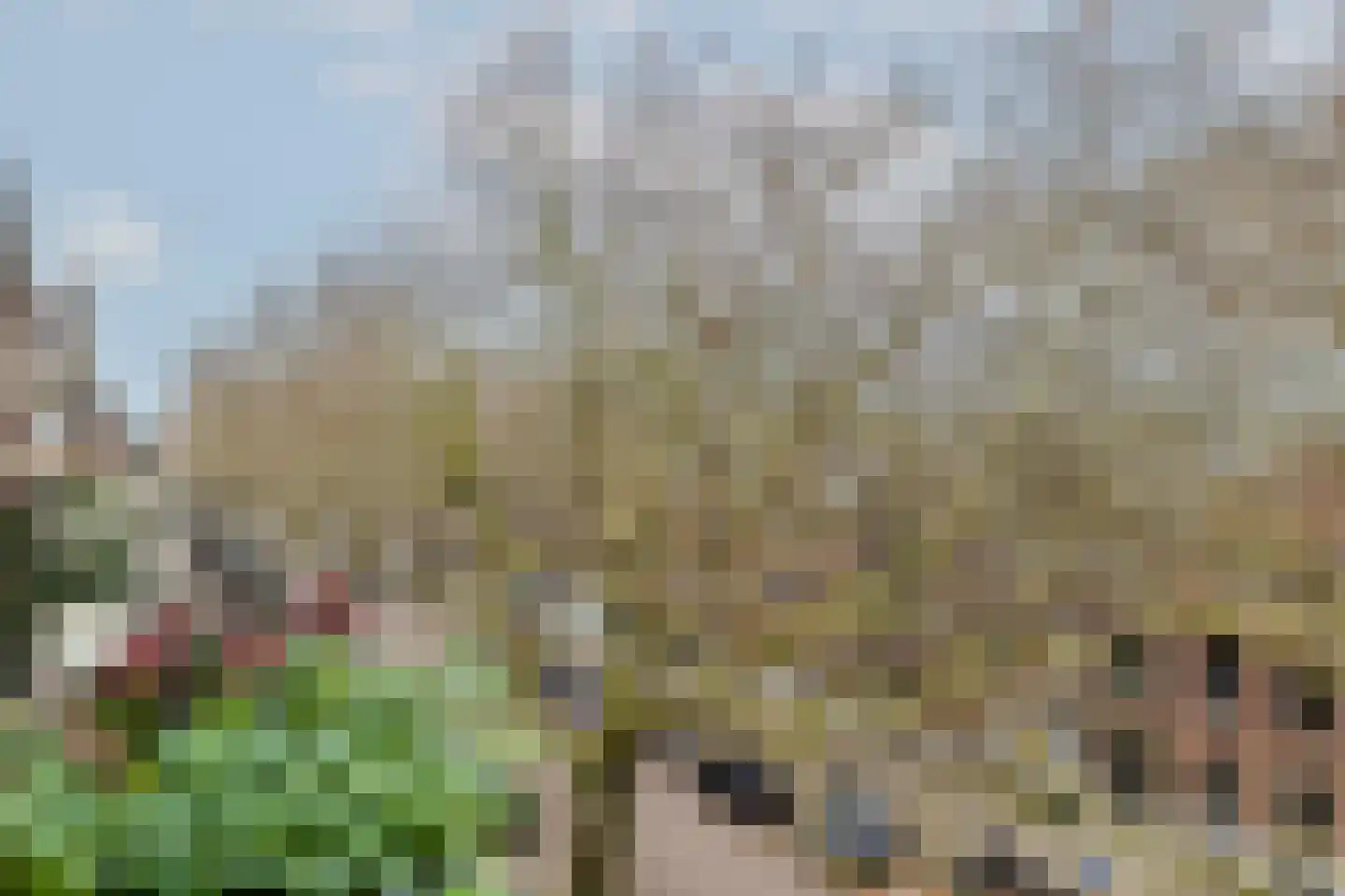 Graaf Florisstraat 90 A 02 Rotterdam thumbnail 36