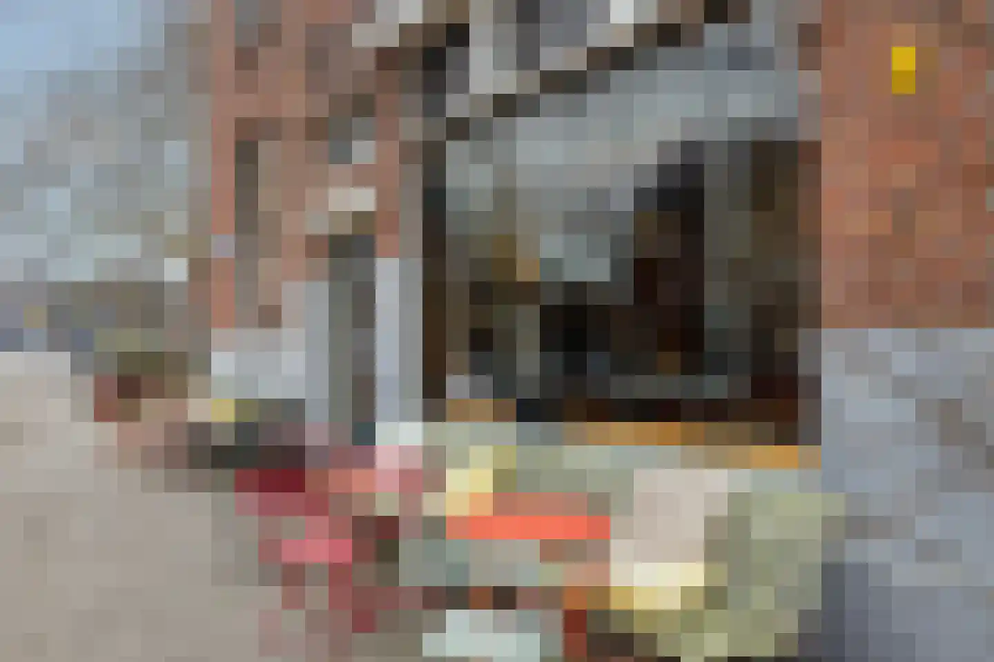 Graaf Florisstraat 90 A 02 Rotterdam thumbnail 38