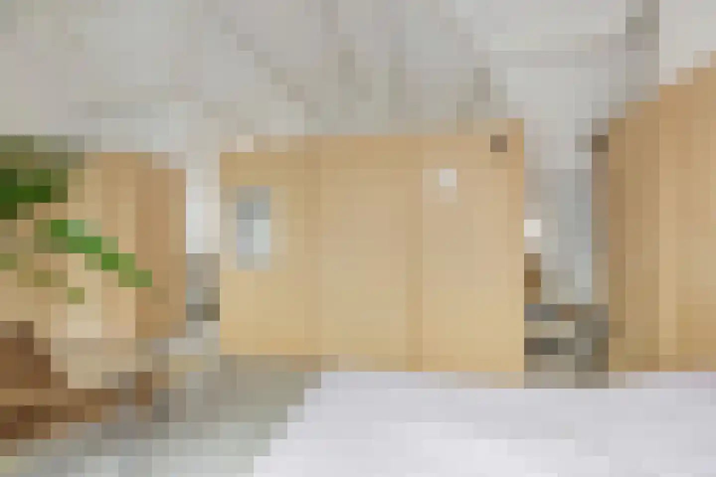 Graaf Florisstraat 90 B Rotterdam thumbnail 29