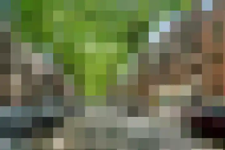 Graaf Florisstraat 95 01 Rotterdam thumbnail 30