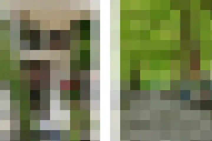Graaf Florisstraat 95 01 Rotterdam thumbnail 31