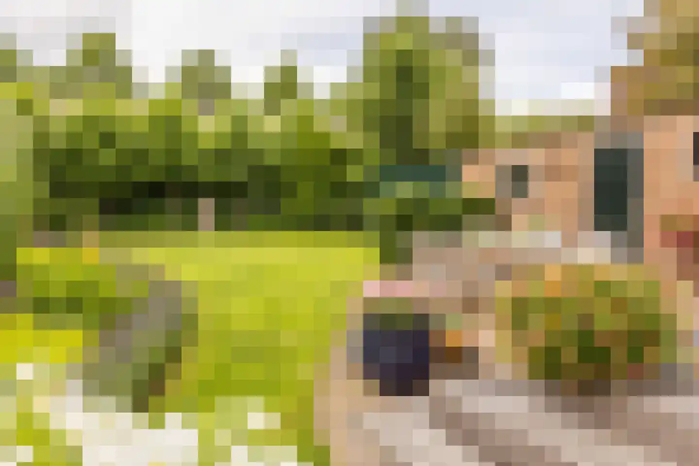 Graaf Florisweg 111 Gouda thumbnail 45