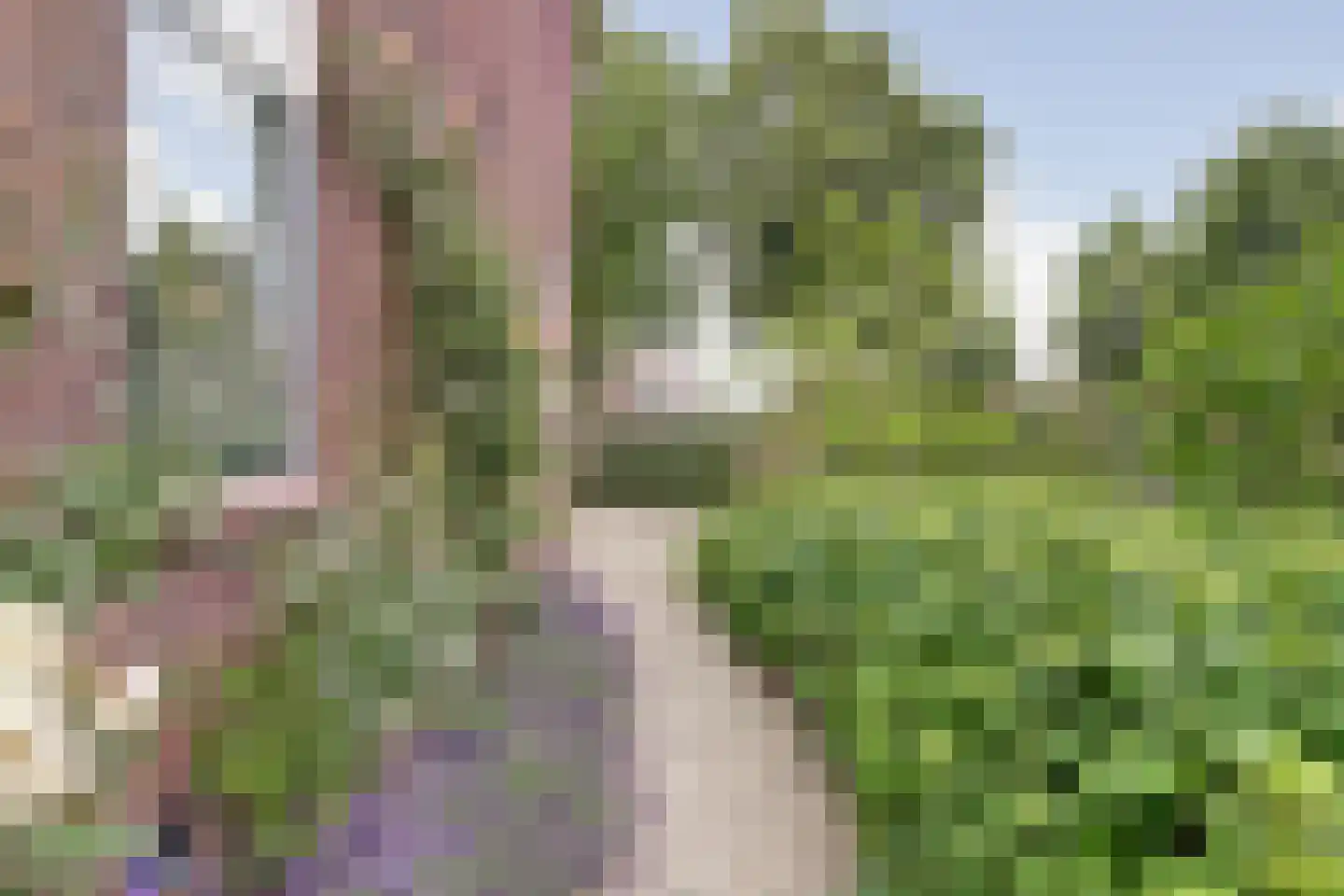 Graaf Florisweg 111 Gouda thumbnail 51