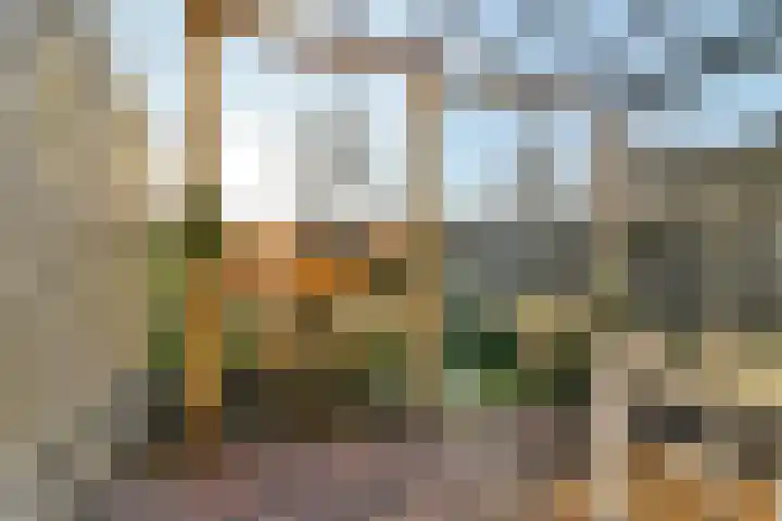 Graaf Florisweg 16 Gouda thumbnail 41