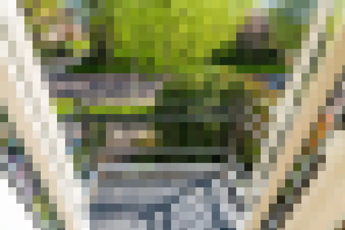 Graaf Florisweg 47 Gouda thumbnail 35