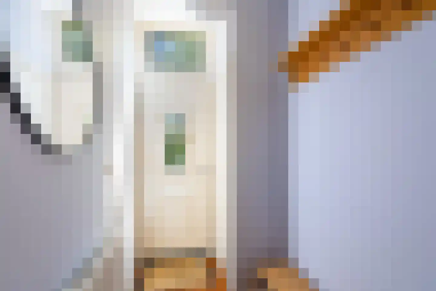 Graaf Florisweg 47 Gouda thumbnail 6