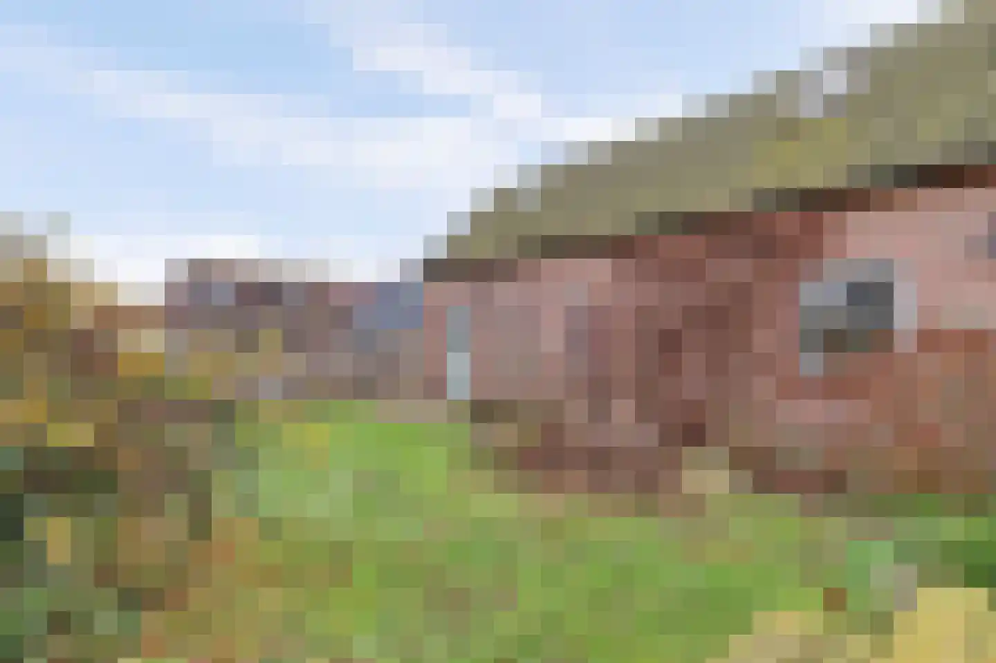 Graaf Florisweg 6 a Nieuwerbrug aan den Rijn thumbnail 42