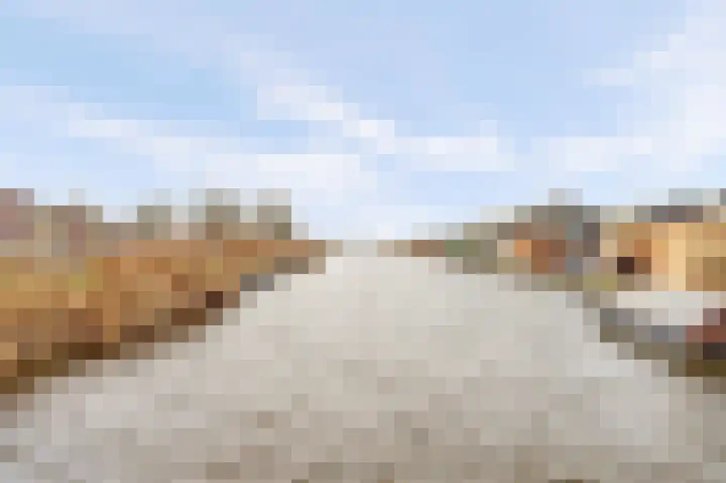 Graaf Florisweg 6 a Nieuwerbrug aan den Rijn thumbnail 49