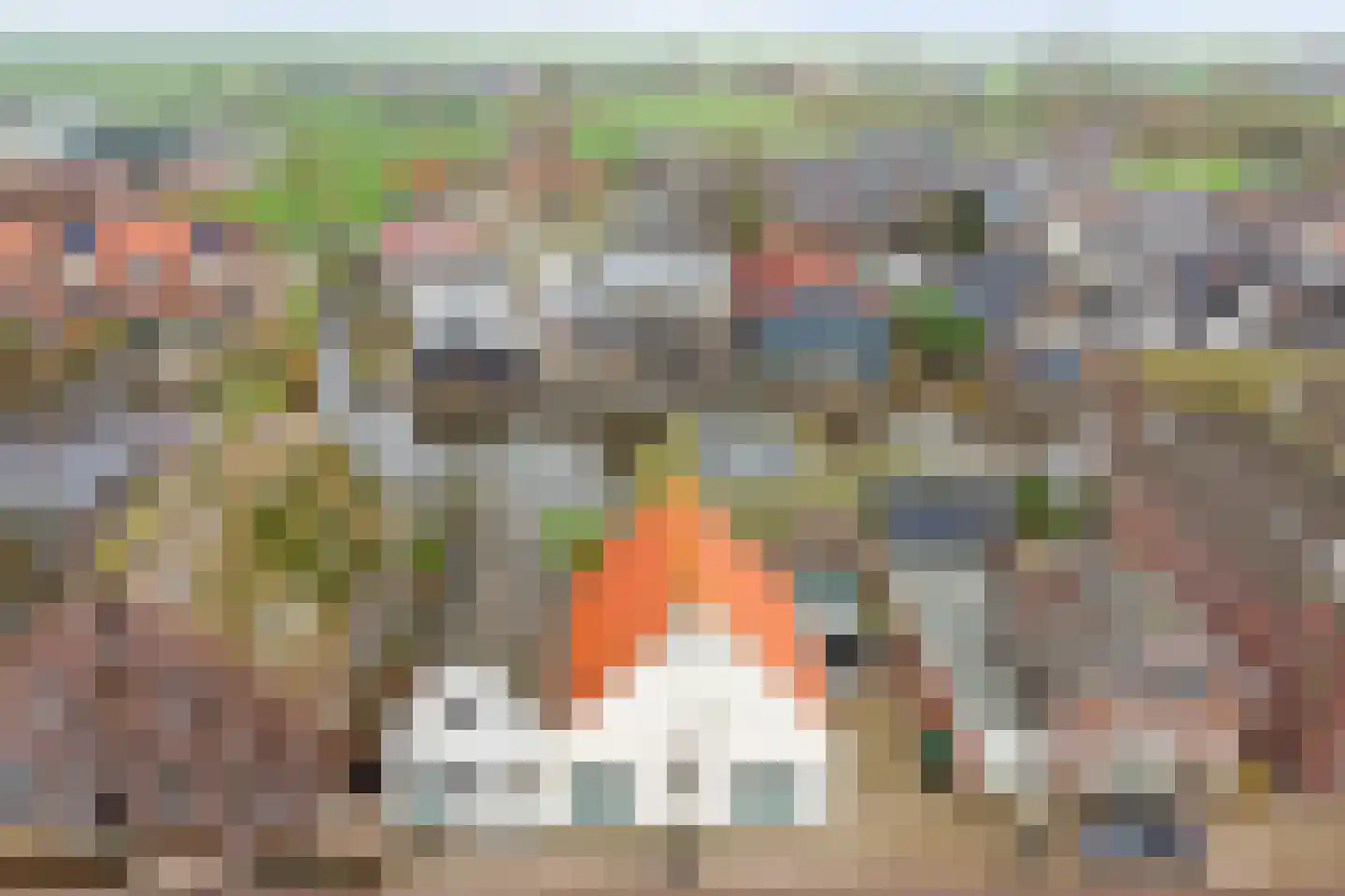 Graaf Florisweg 6 a Nieuwerbrug aan den Rijn thumbnail 50