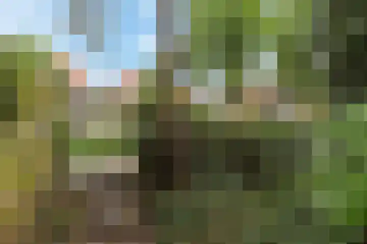 Graaf Florisweg 78 Gouda thumbnail 16