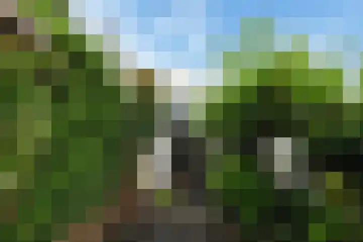 Graaf Florisweg 78 Gouda thumbnail 17