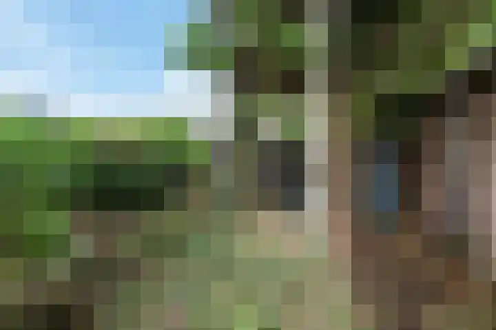 Graaf Florisweg 78 Gouda thumbnail 18