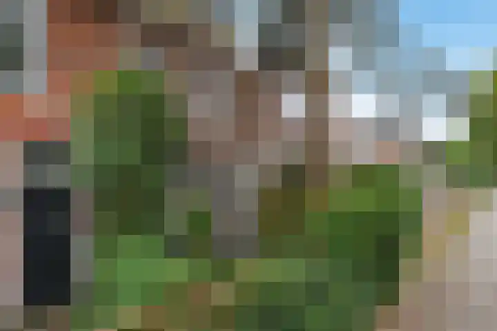 Graaf Florisweg 78 Gouda thumbnail 4
