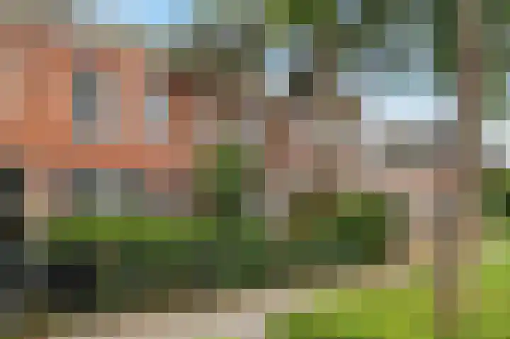 Graaf Florisweg 78 Gouda thumbnail 5