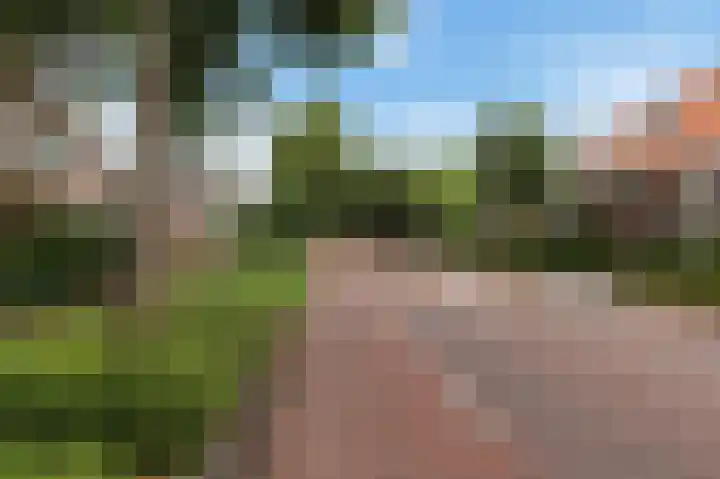 Graaf Florisweg 78 Gouda thumbnail 6