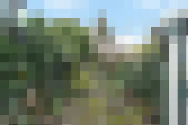Graaf Florisweg 80 Gouda thumbnail 30