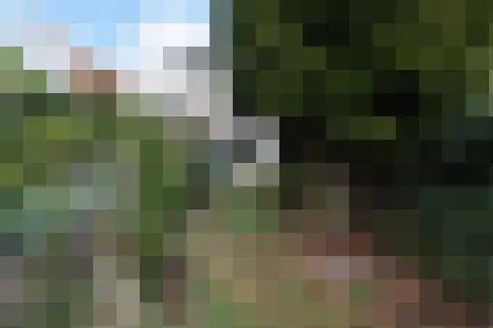 Graaf Florisweg 80 Gouda thumbnail 4