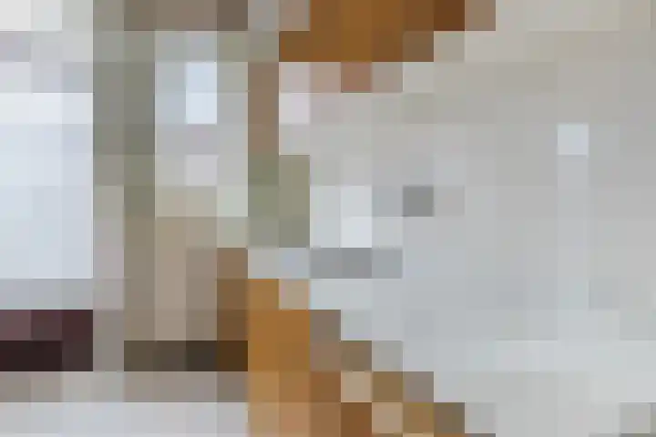 Graaf Gerhardstraat 22 Venlo thumbnail 20