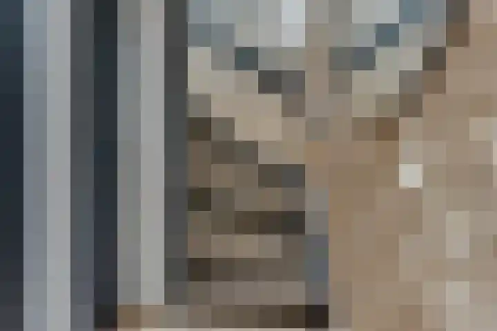 Graaf Gerlachsingel 8 Nieuwegein thumbnail 20