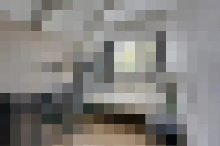 Graaf Gerlachsingel 8 Nieuwegein thumbnail 29