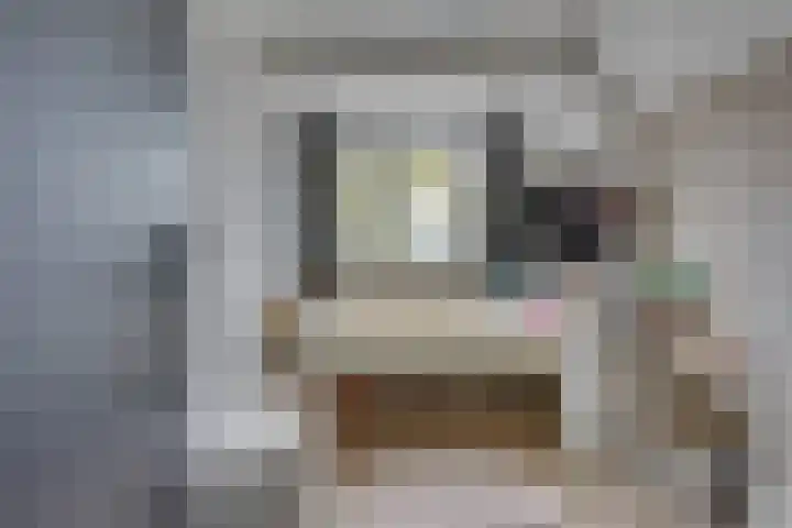 Graaf Gerlachsingel 8 Nieuwegein thumbnail 32