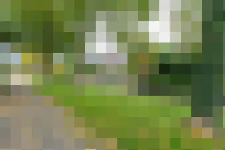 Graaf Gerlachsingel 8 Nieuwegein thumbnail 51