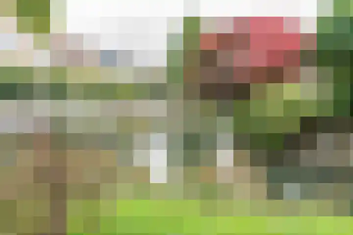 Graaf Gerlachsingel 8 Nieuwegein thumbnail 52