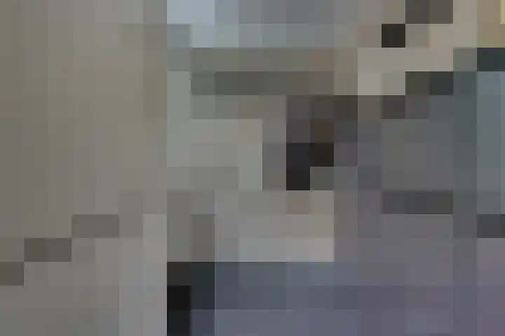 Graaf Gerlachsingel 8 Nieuwegein thumbnail 7