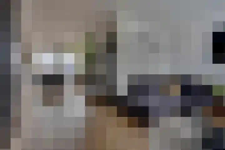 Graaf Gerlachsingel 8 Nieuwegein thumbnail 9