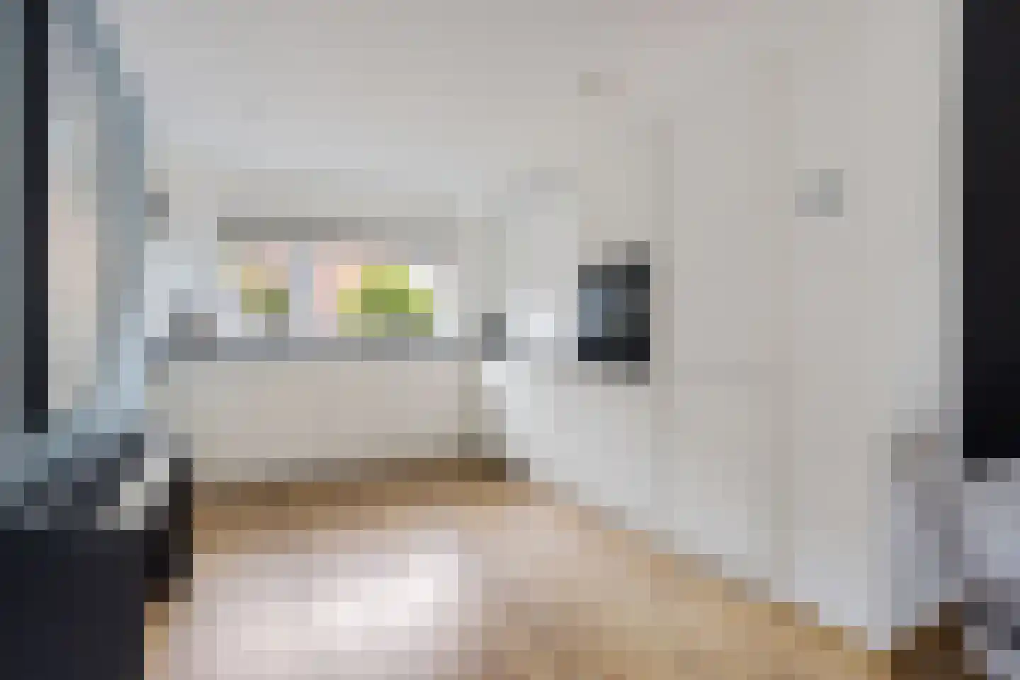Graaf Gerolf 5 Huizen thumbnail 10