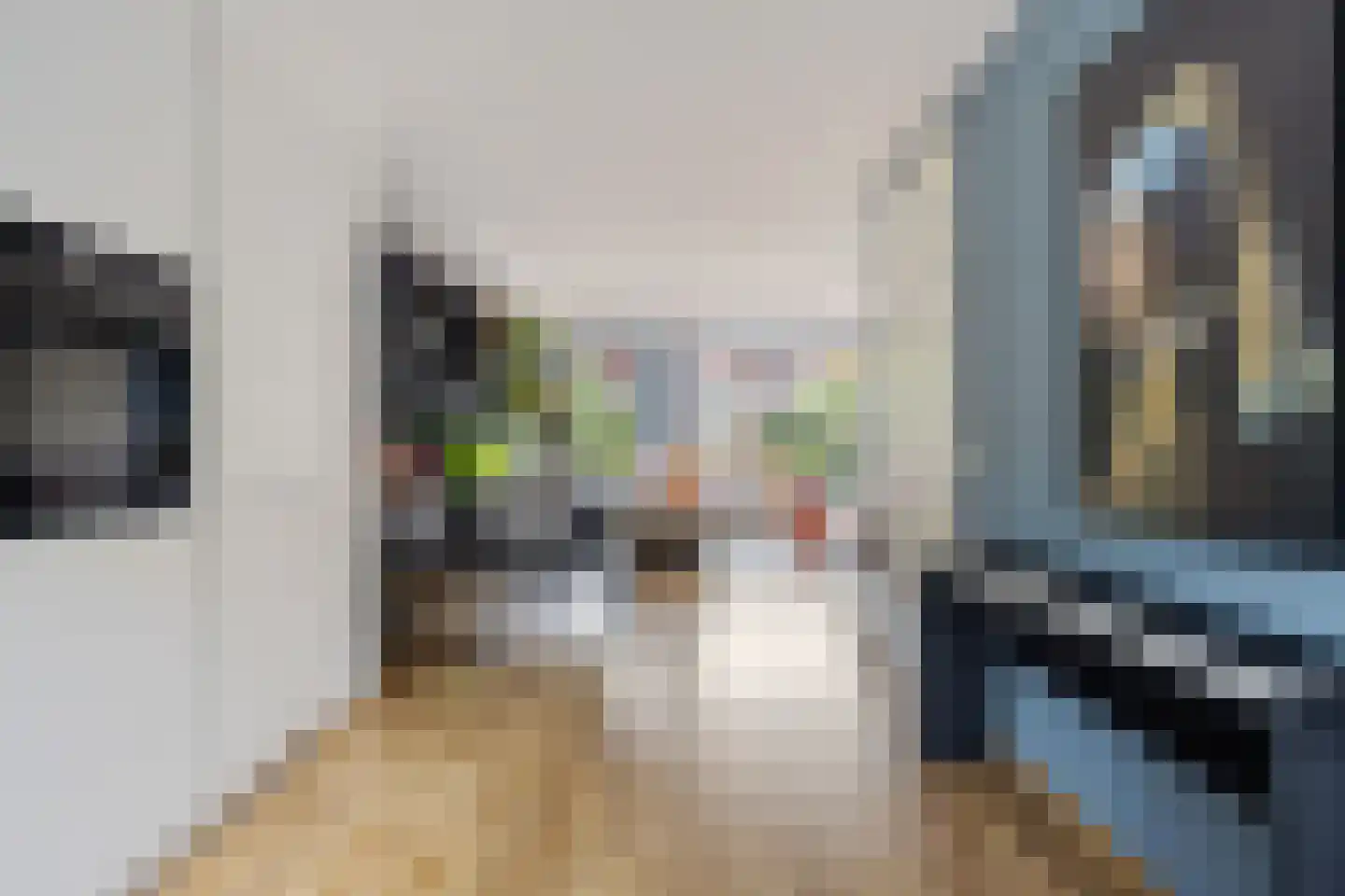 Graaf Gerolf 5 Huizen thumbnail 13