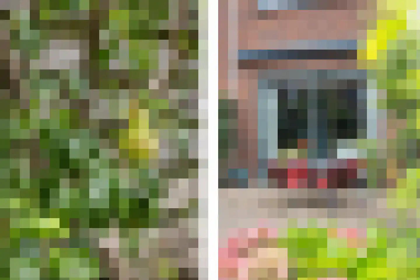 Graaf Gerolf 5 Huizen thumbnail 16