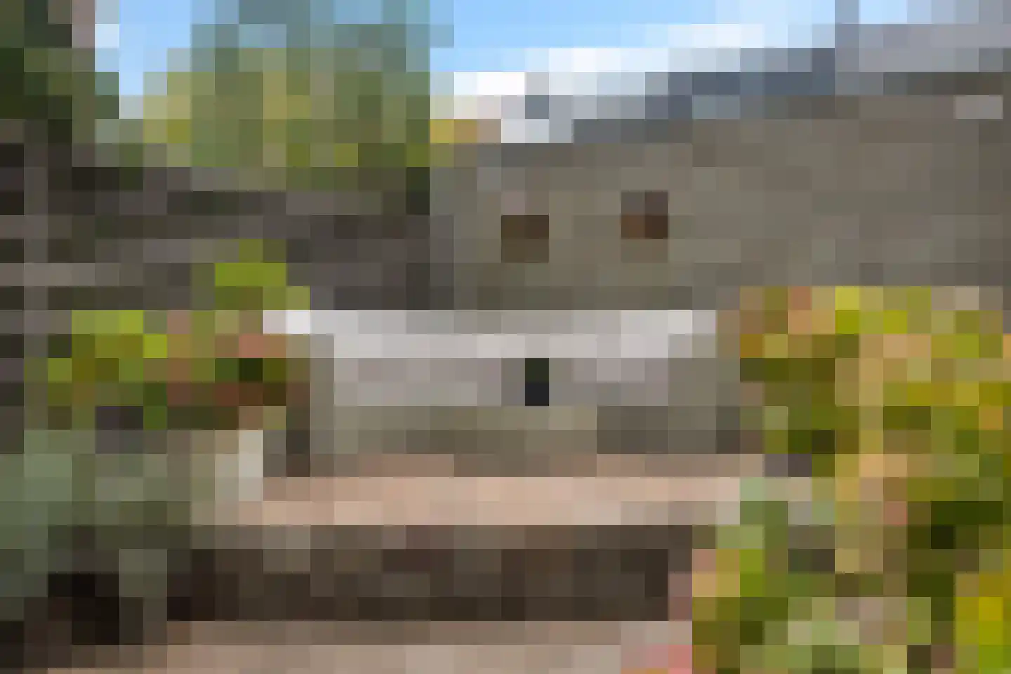 Graaf Gerolf 5 Huizen thumbnail 18