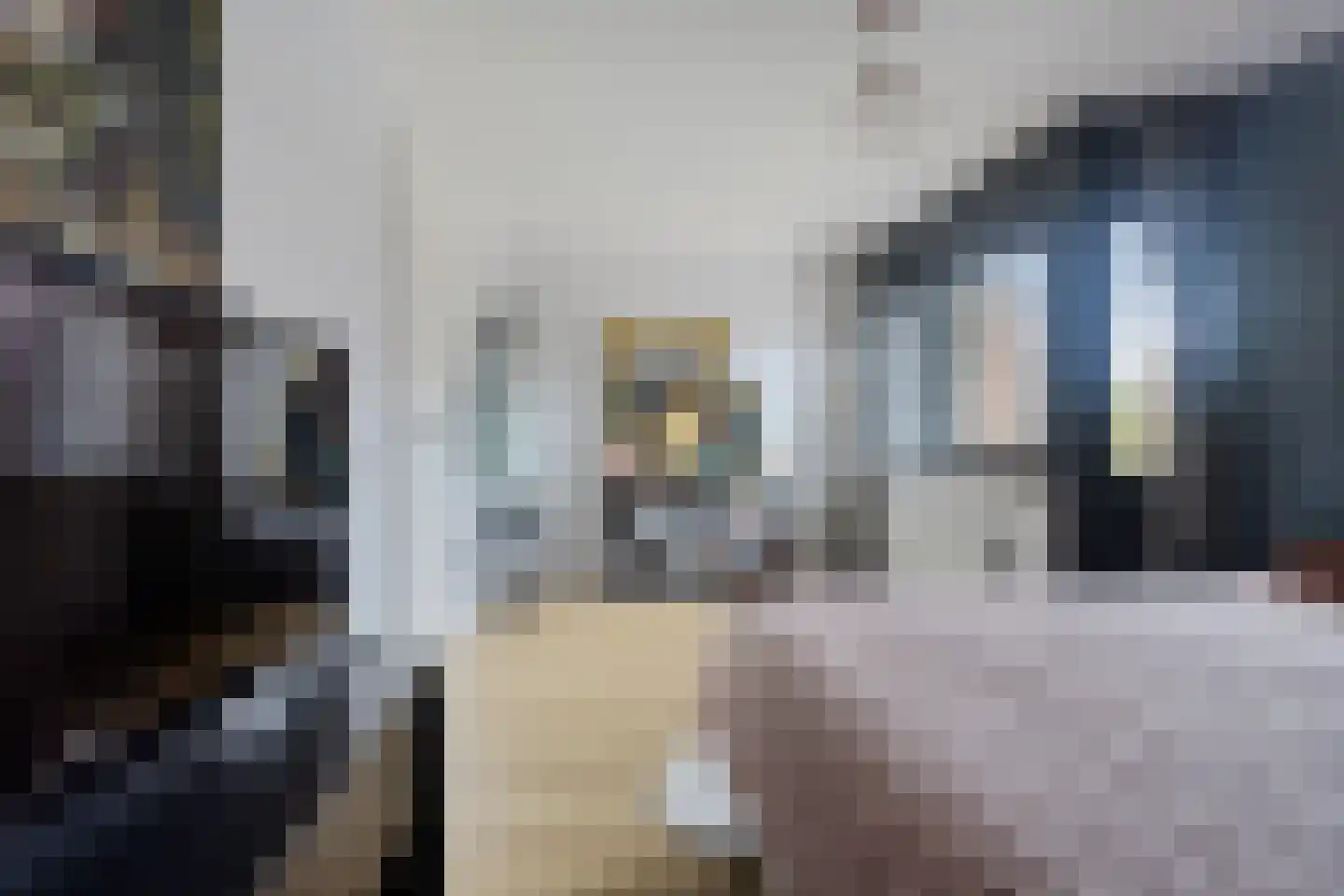 Graaf Gerolf 5 Huizen thumbnail 26