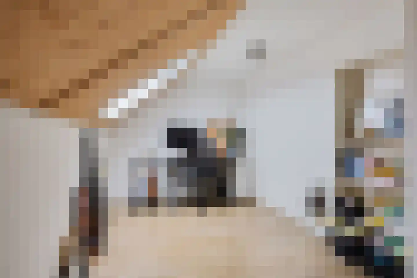 Graaf Gerolf 5 Huizen thumbnail 36