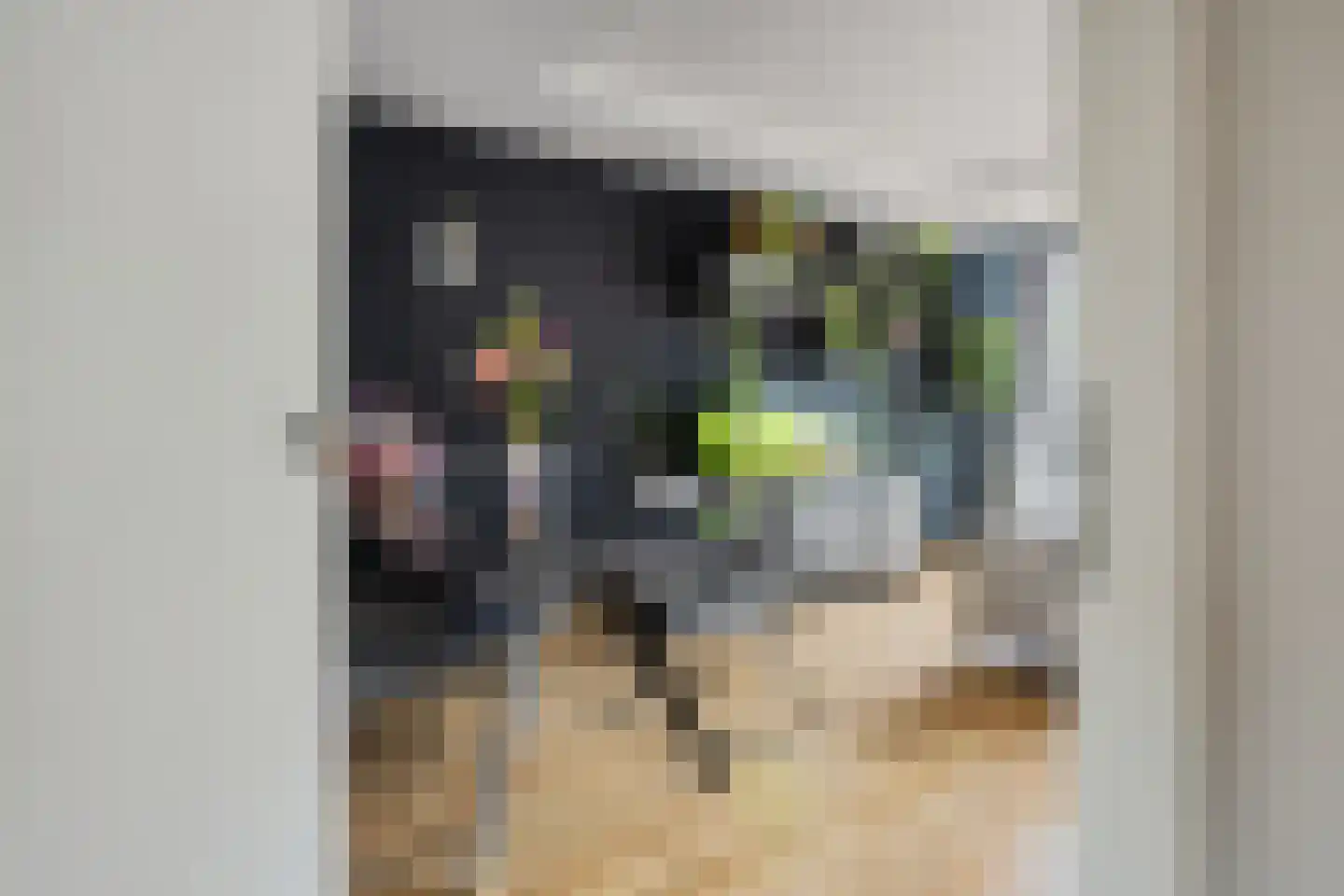 Graaf Gerolf 5 Huizen thumbnail 4