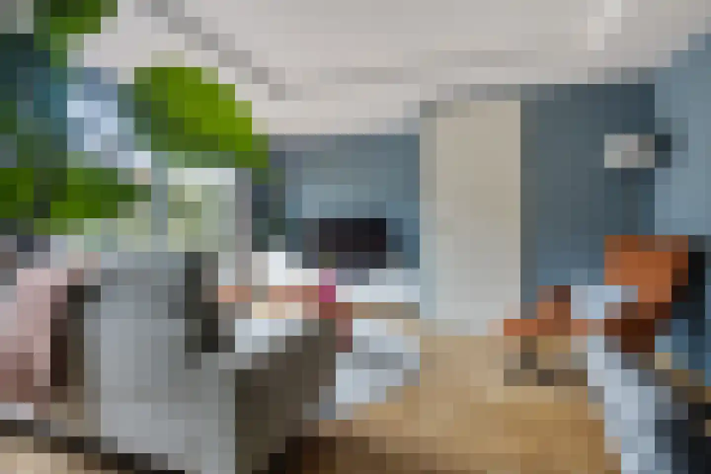 Graaf Gerolf 5 Huizen thumbnail 6