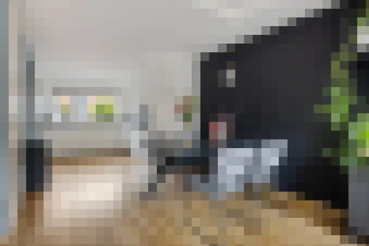 Graaf Gerolf 5 Huizen thumbnail 9