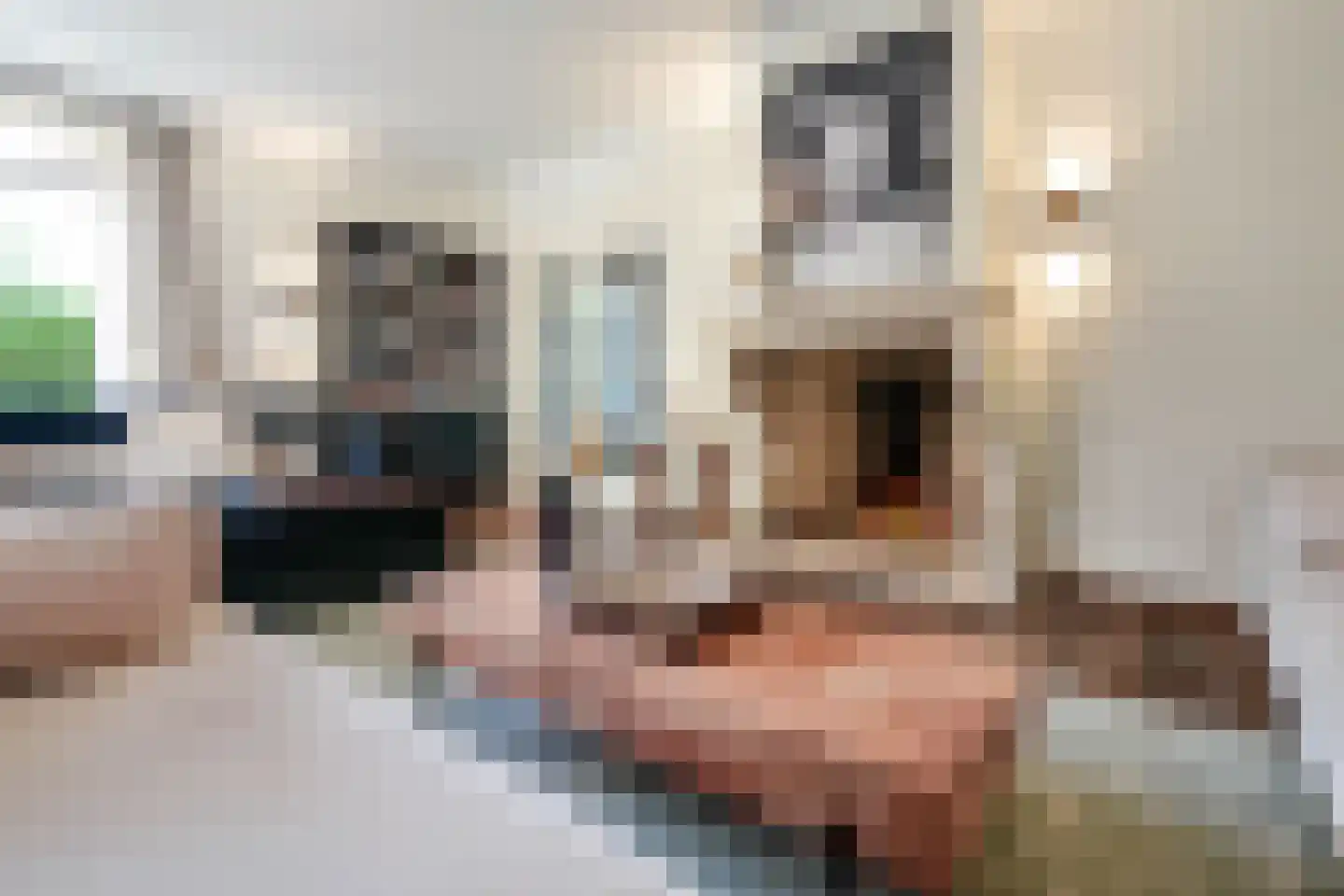 Graaf Gerolfpad 4 Den Haag thumbnail 11