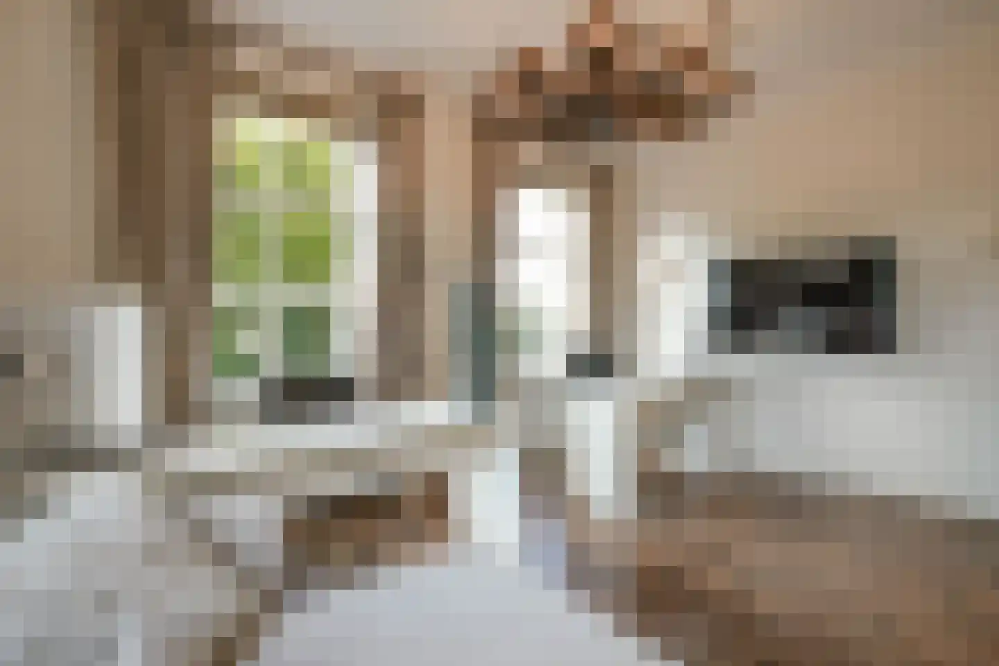 Graaf Gerolfpad 4 Den Haag thumbnail 13