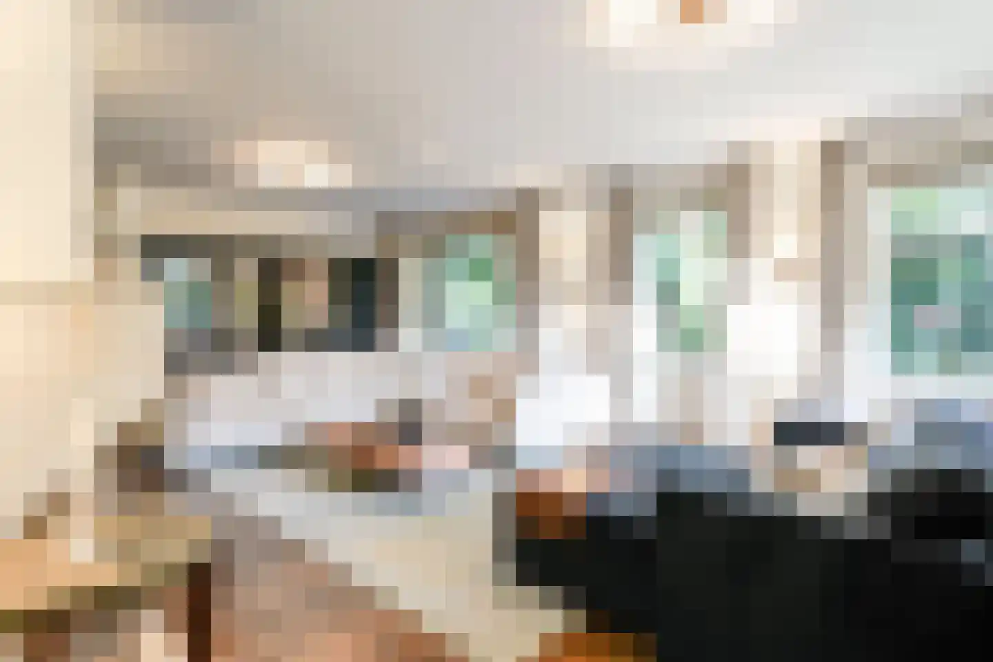 Graaf Gerolfpad 4 Den Haag thumbnail 15