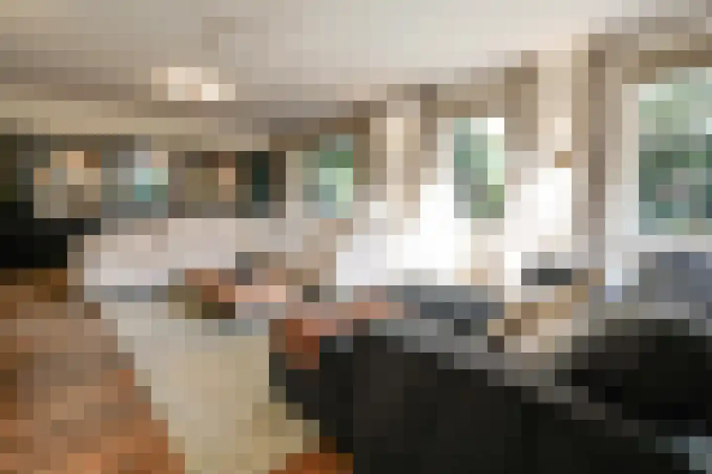 Graaf Gerolfpad 4 Den Haag thumbnail 17