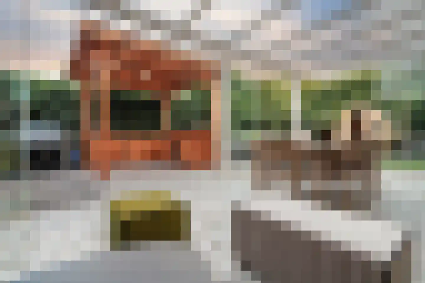 Graaf Gerolfpad 4 Den Haag thumbnail 33